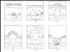 SUBSIDENCE CRATER FIG 4 ... (Click to enlarge)