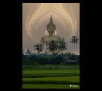 BUDDHA THAILAND ... (Click to enlarge)