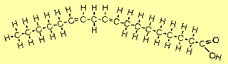 FATS_LINOLEIC.GIF (2362 bytes)