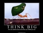 Think Big