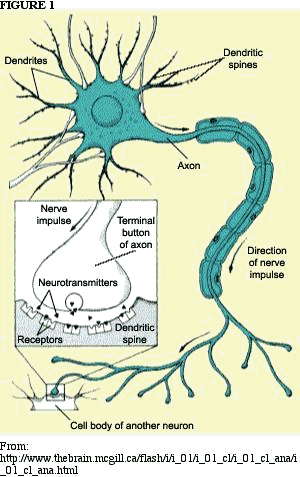 //www.curezone.org/upload/Art/MadArt_ist/SerotoninConnection1.gif