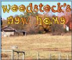 woodstock s new home animation