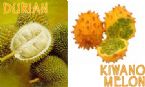 durian kiwano copy