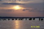 Sunset on a GA lake