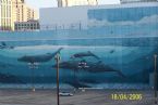 Whale on wall N O 