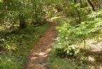 Lower Applachian Trail Aug 2005 152