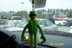 Kermit in window