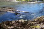 Natural Dam Sweetwater Creek