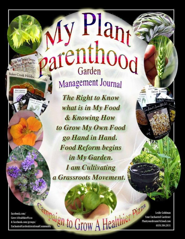 Plant Parenthood Project Cover Large Curezone On CureZone Image Gallery