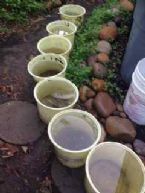 Buckets of Rain Water Enchanted Garden Leslie Goldman