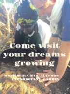 Come Visit Dreams Growing