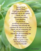 Job s Tears Seed Prayer web ... (Click to enlarge)