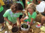 Kids Planting medium