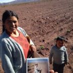 Maria royalquinoa used by Eden Foods