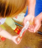 Noble and daughter plant seeds 2 