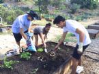 Planting Dreams with SDSU Students 