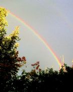 Rainbow in Garden 2 web