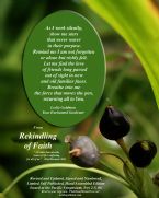 Rekindling of Faith web72