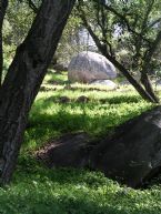 Round Rock web