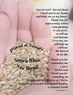 Sacred Seed Med wds web