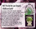  The Last Organic Alfalfa