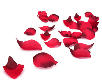 rose petals On CureZone Image Gallery