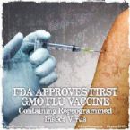 New flu vaccine made with GMOs