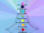 7 chakras plus names on body