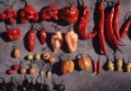 Capsicum fruits ... (Click to enlarge)