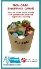 gmo