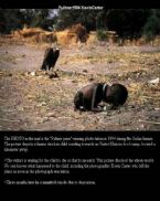 kid in africa ... (Click to enlarge)