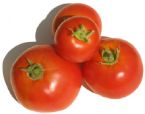 tomatoesbig