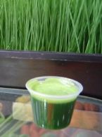 wheatgrassjuice