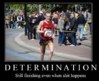 DETERMINATION