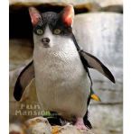 strange pinguin