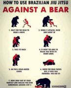 Bear fight