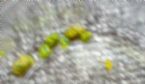 green stone closeup ... (Click to enlarge)