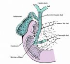 biliary