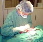 gallbladder surgery