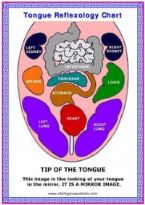 Reflex Zones of the Tongue