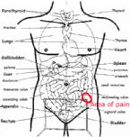 Pain colon ... (Click to enlarge)