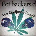 marijuana bowl ahn PI vadapt 620 medium 56