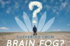 suffering from brain fog?