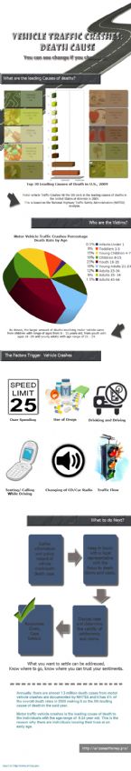 Vehicle Traffic Crashes: Death Cause (Infographic)