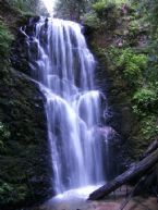 Berrycreekfalls