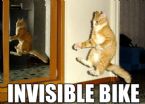 Invisible Bike Cat