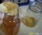 Kombucha harvest