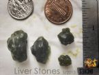 Liver Stones 5871 01 May 26 2013 - Elf Hardtoil