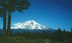 Shasta