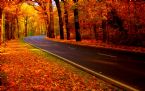 autumn road ... (Click to enlarge)